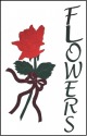 Rose /Flowers
